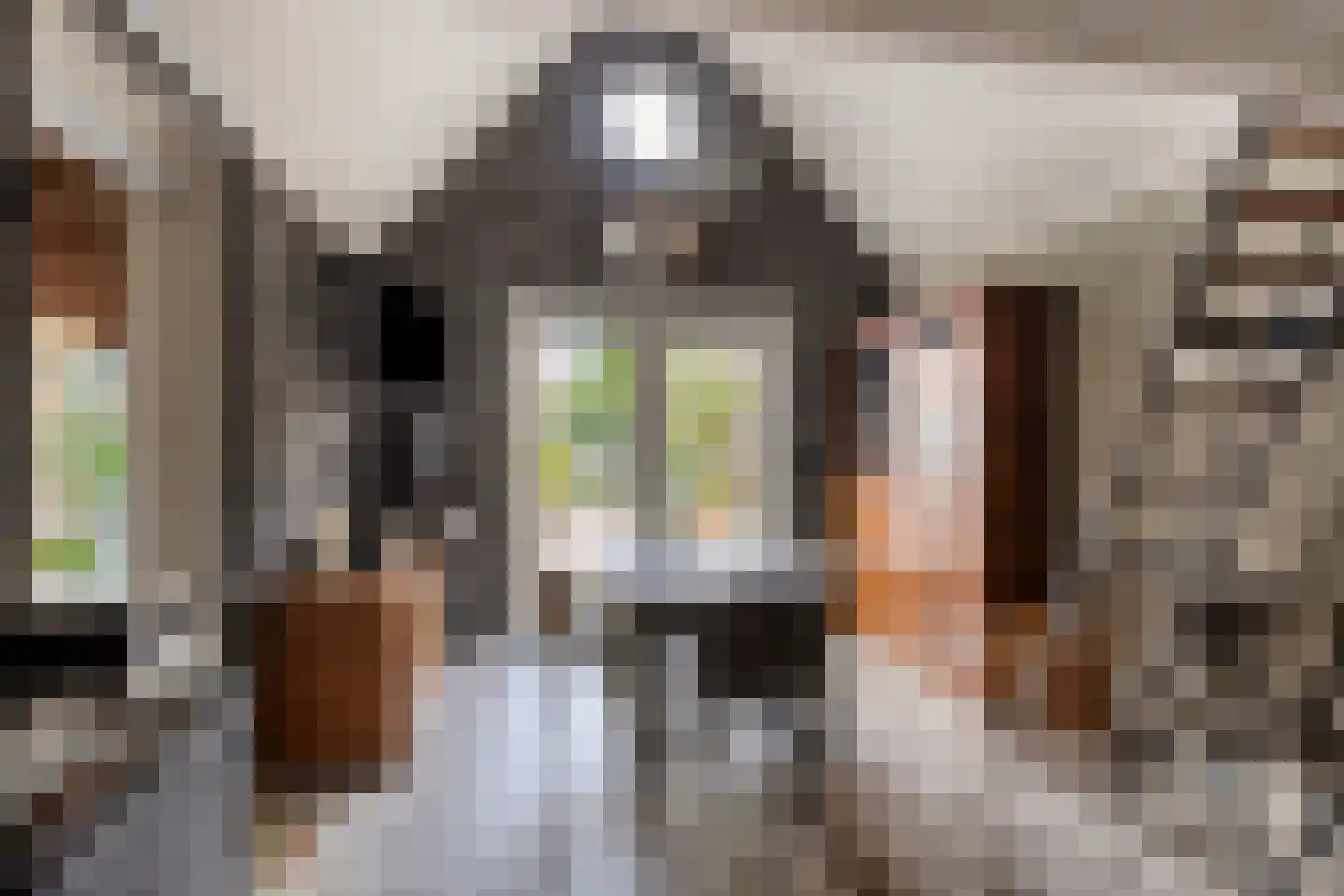 Jacob van Marisring 2 Helden thumbnail 30