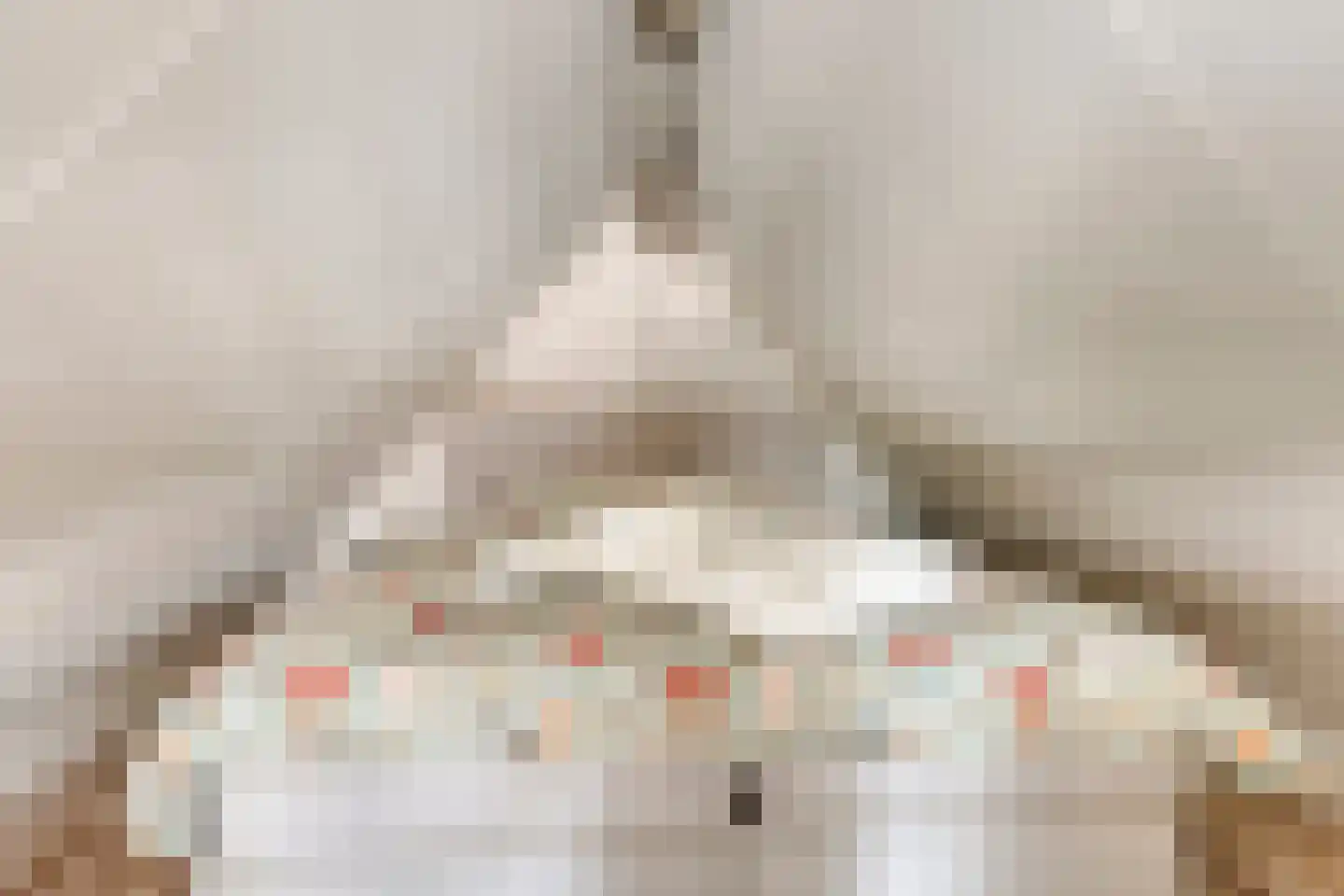 Jacob van Marisring 2 Helden thumbnail 31