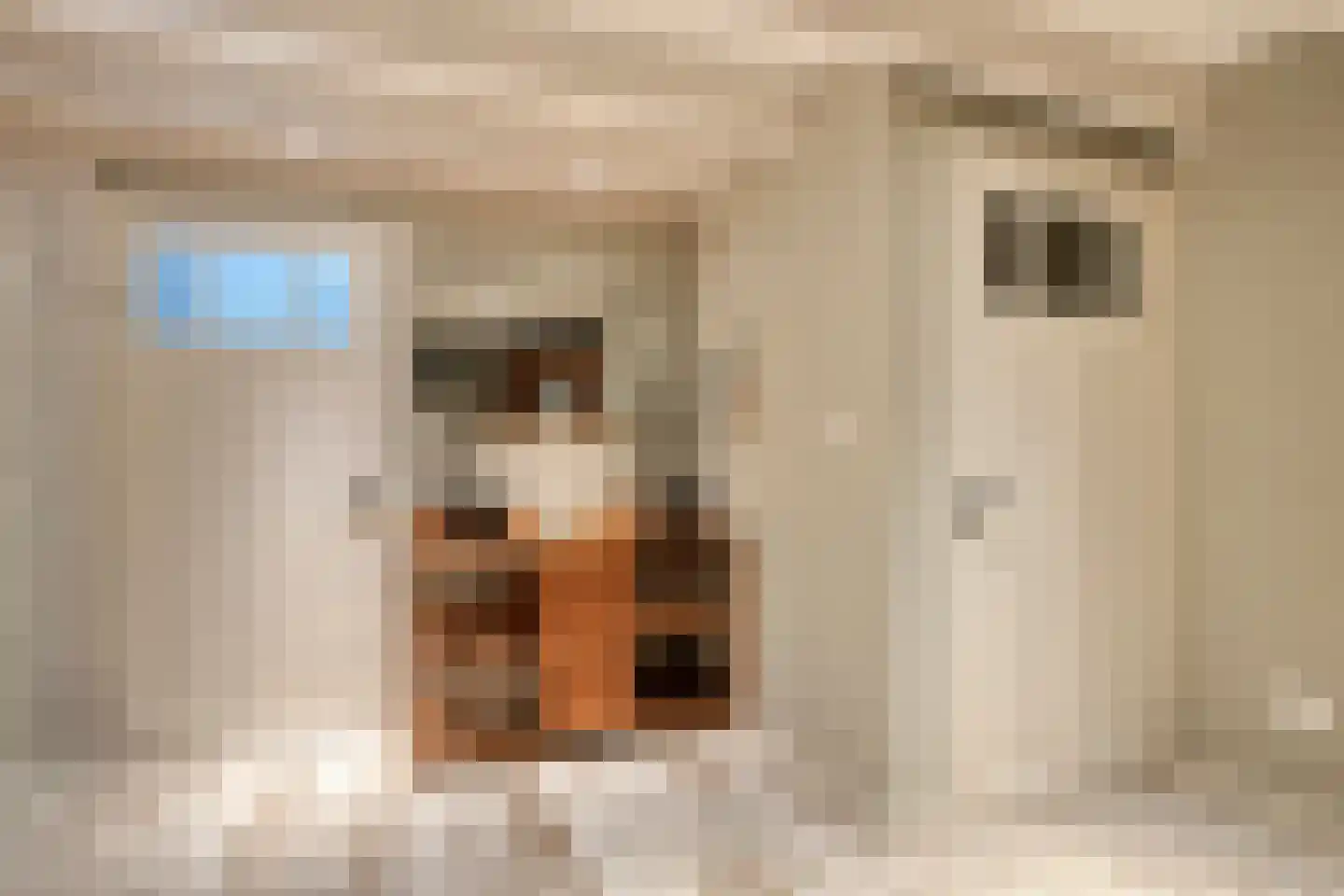 Jacob van Marisring 2 Helden thumbnail 33