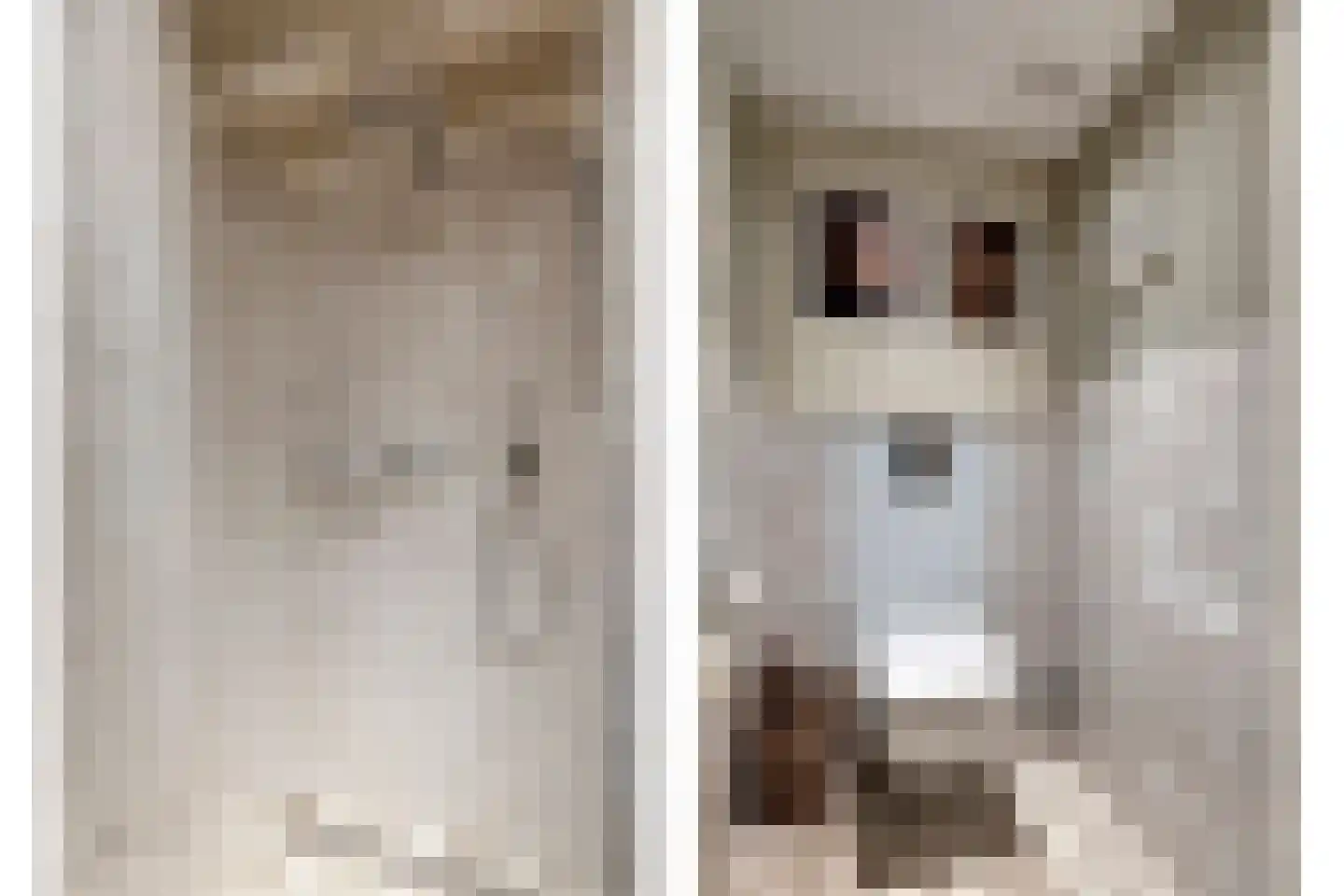 Jacob van Marisring 2 Helden thumbnail 34