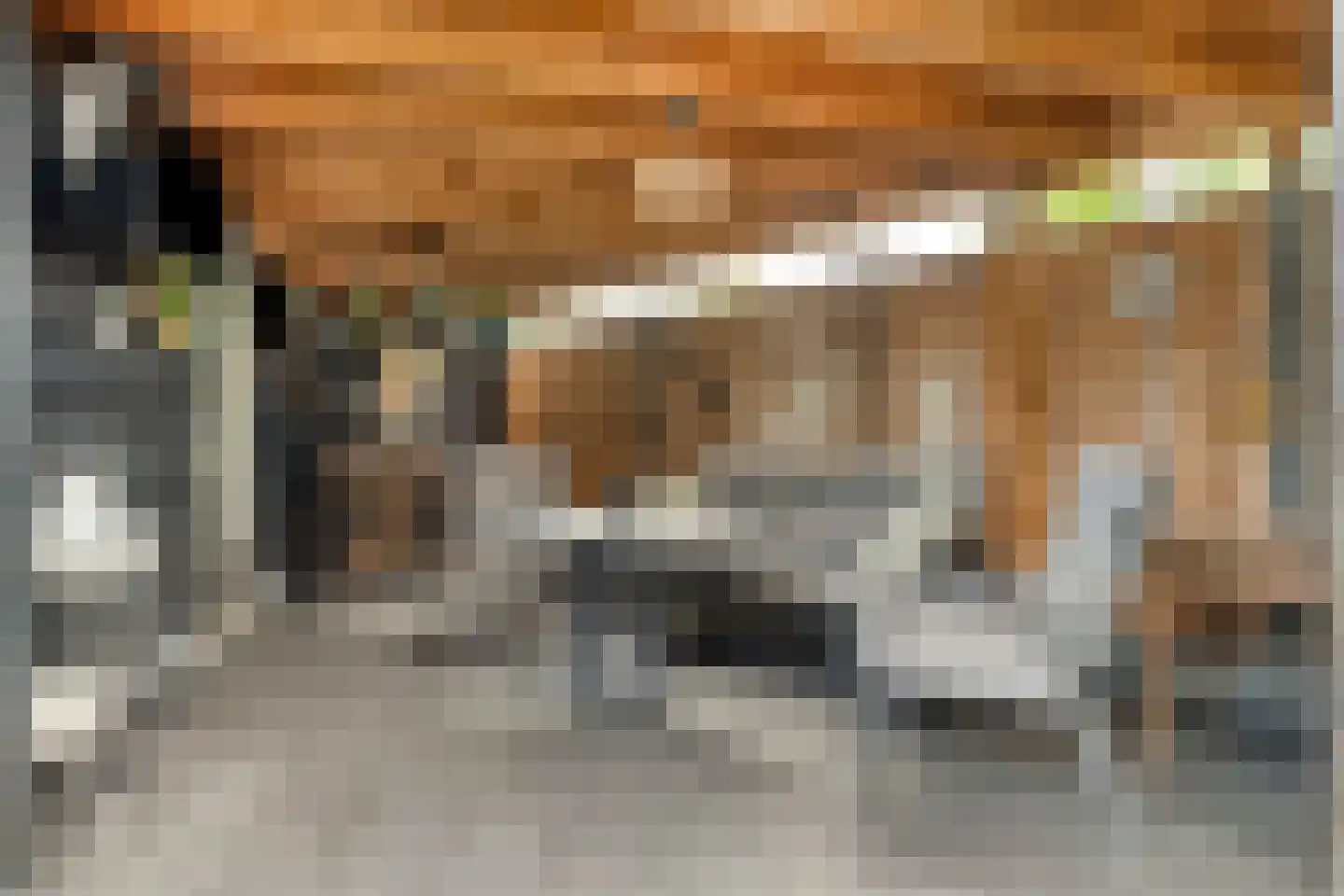 Jacob van Marisring 2 Helden thumbnail 35