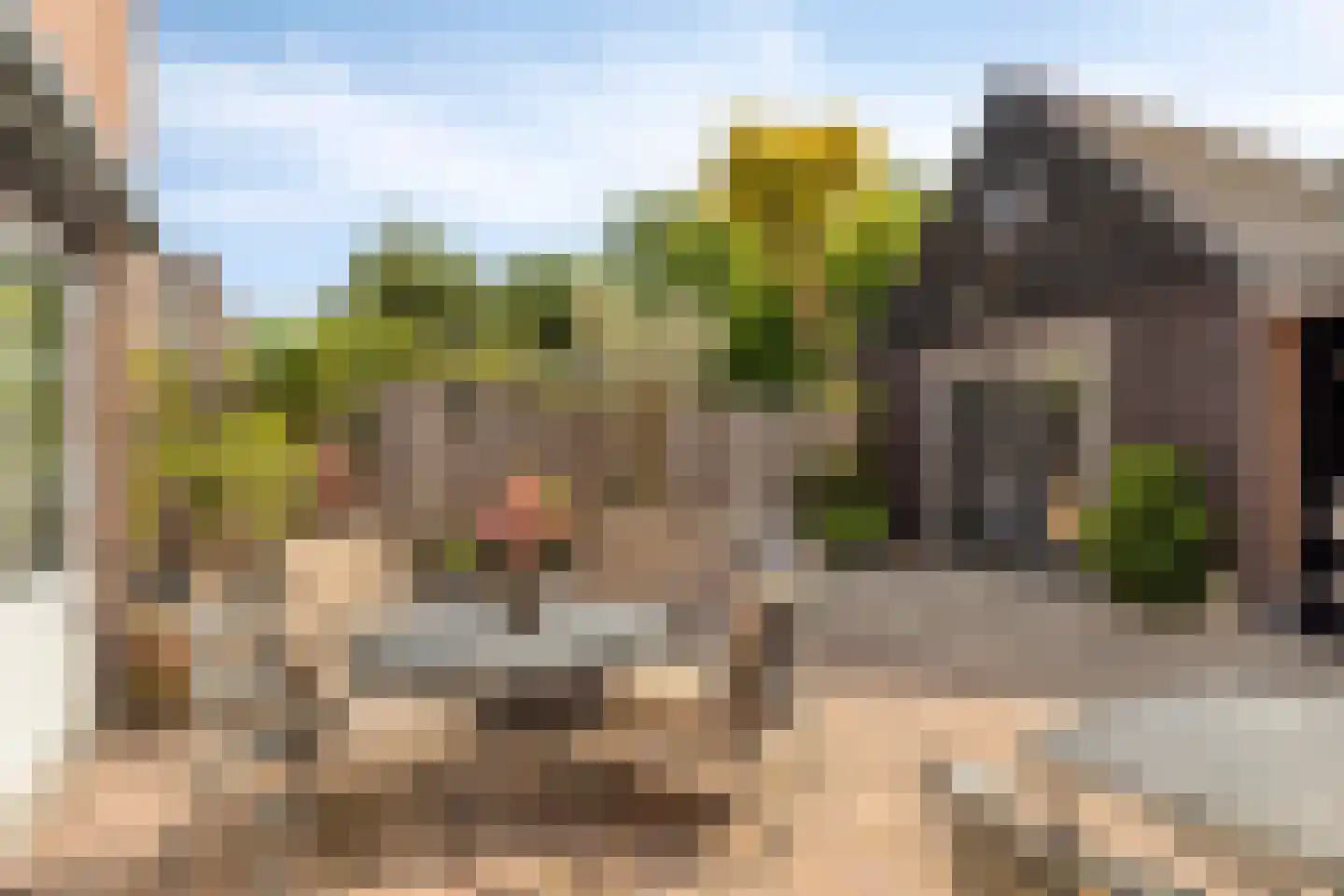 Jacob van Marisring 2 Helden thumbnail 40