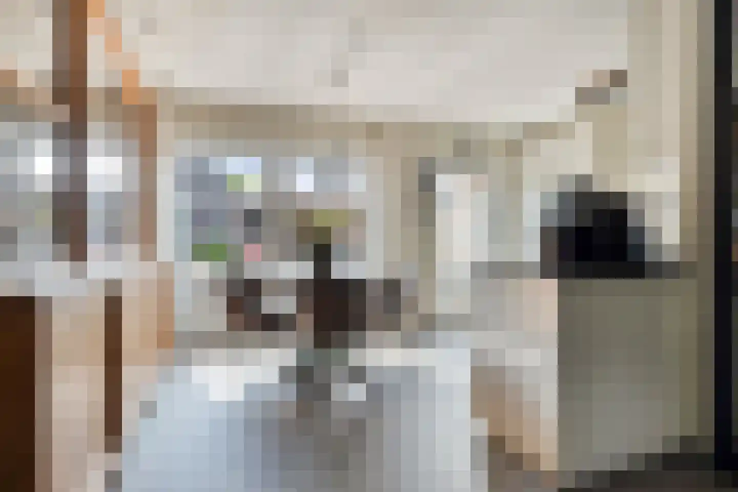 Jacob van Marisring 2 Helden thumbnail 8