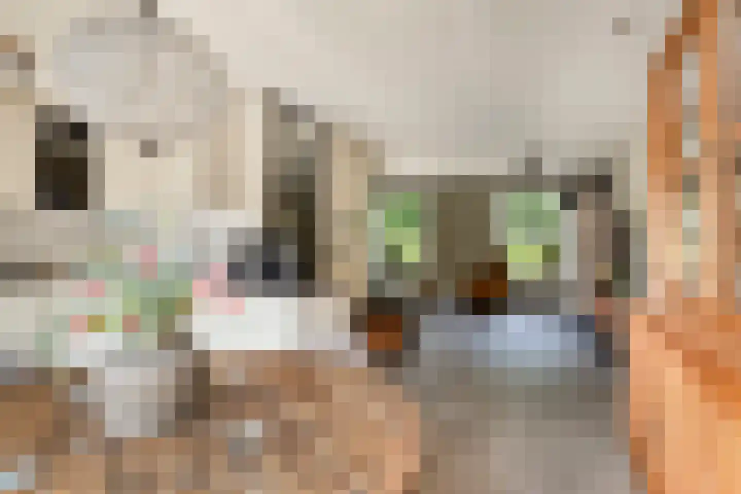Jacob van Marisring 2 Helden thumbnail 9