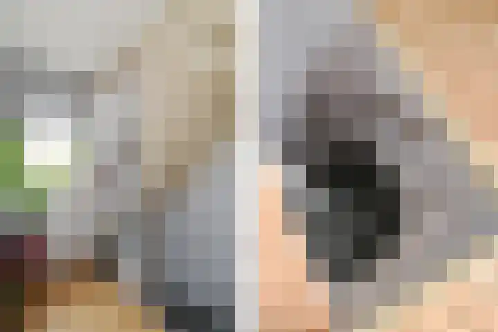 Jacob van Marisring 86 Helden thumbnail 15