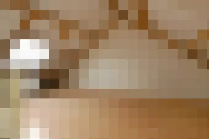 Jacob van Marisring 86 Helden thumbnail 16