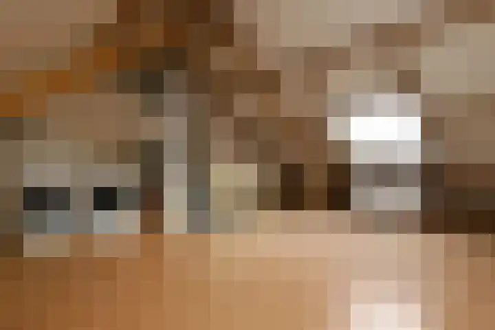 Jacob van Marisring 86 Helden thumbnail 17