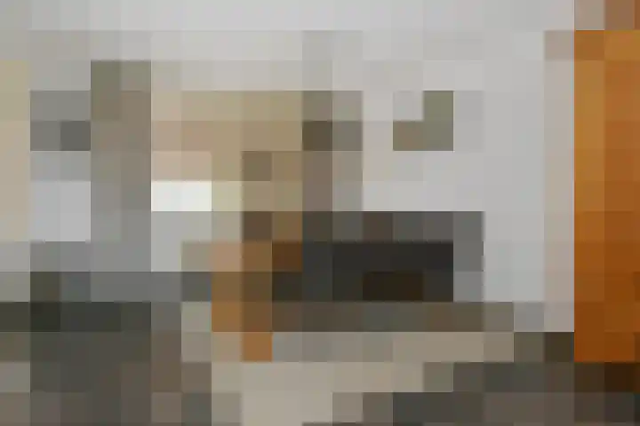 Jacob van Marisring 86 Helden thumbnail 5