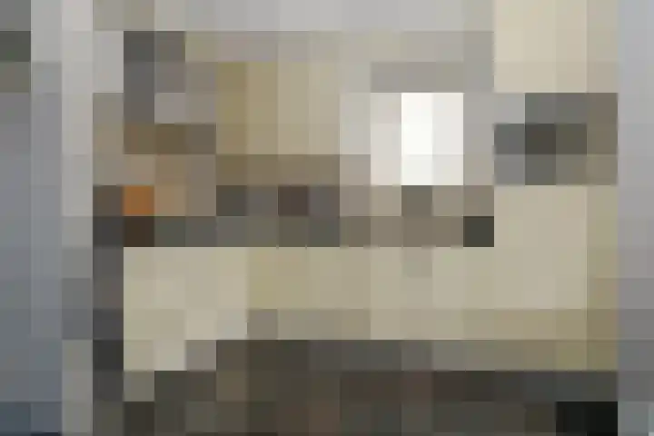 Jacob van Marisring 86 Helden thumbnail 6