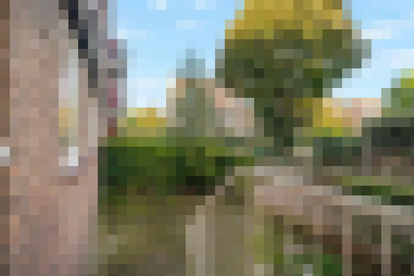 Jacob van Offwegenlaan 54 Rijswijk thumbnail 22