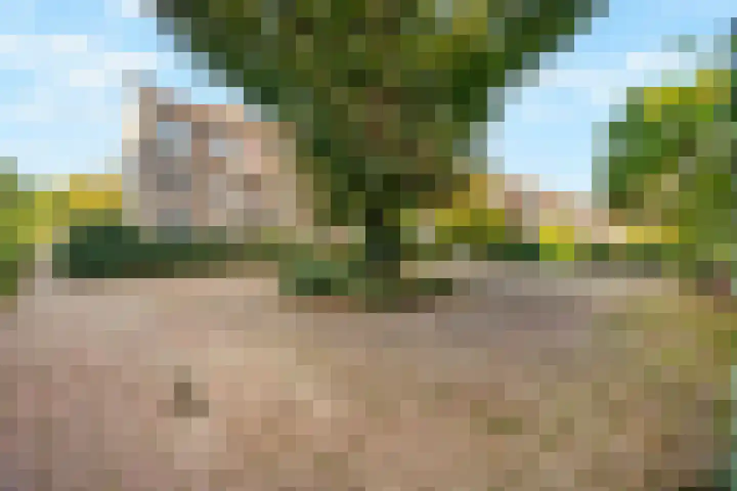 Jacob van Offwegenlaan 54 Rijswijk thumbnail 25