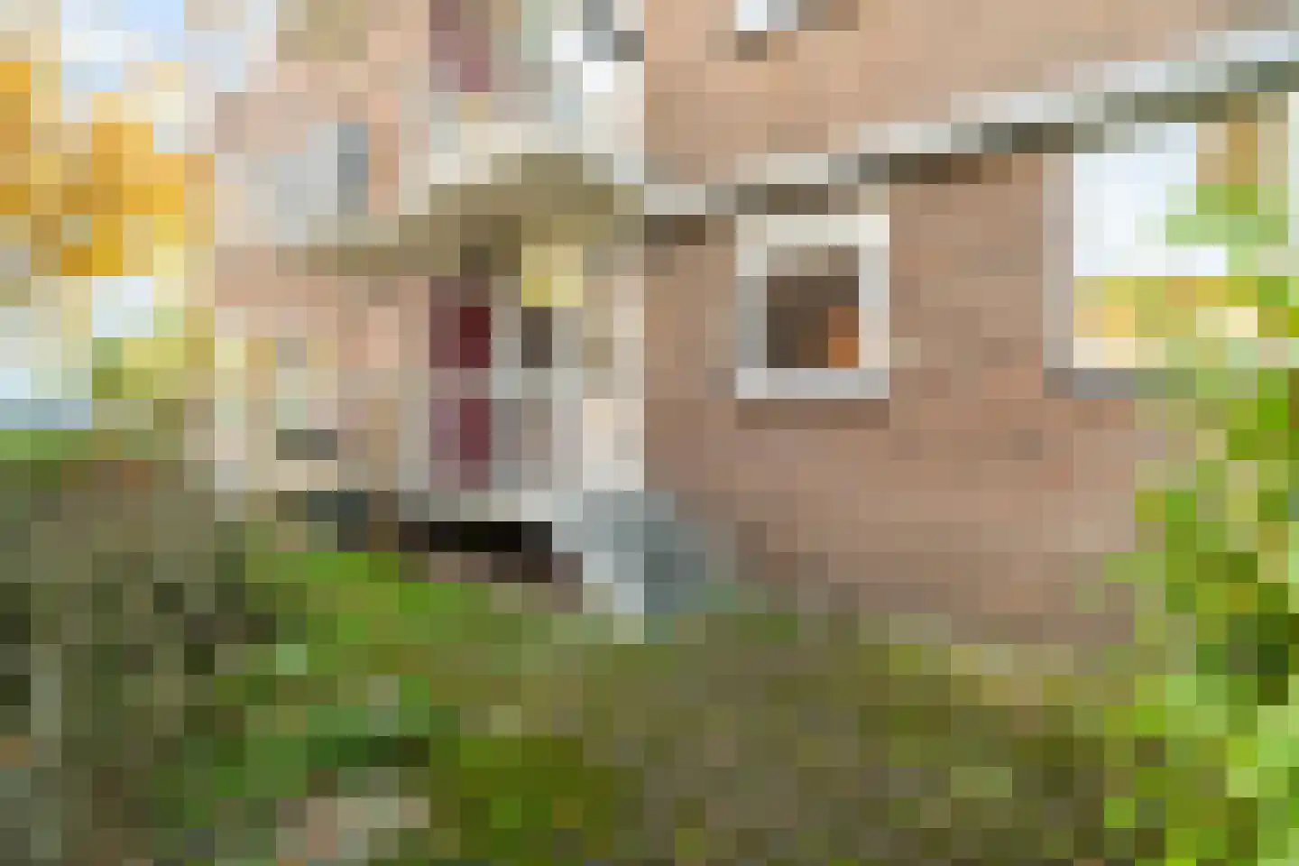 Jacob van Offwegenlaan 54 Rijswijk thumbnail 26