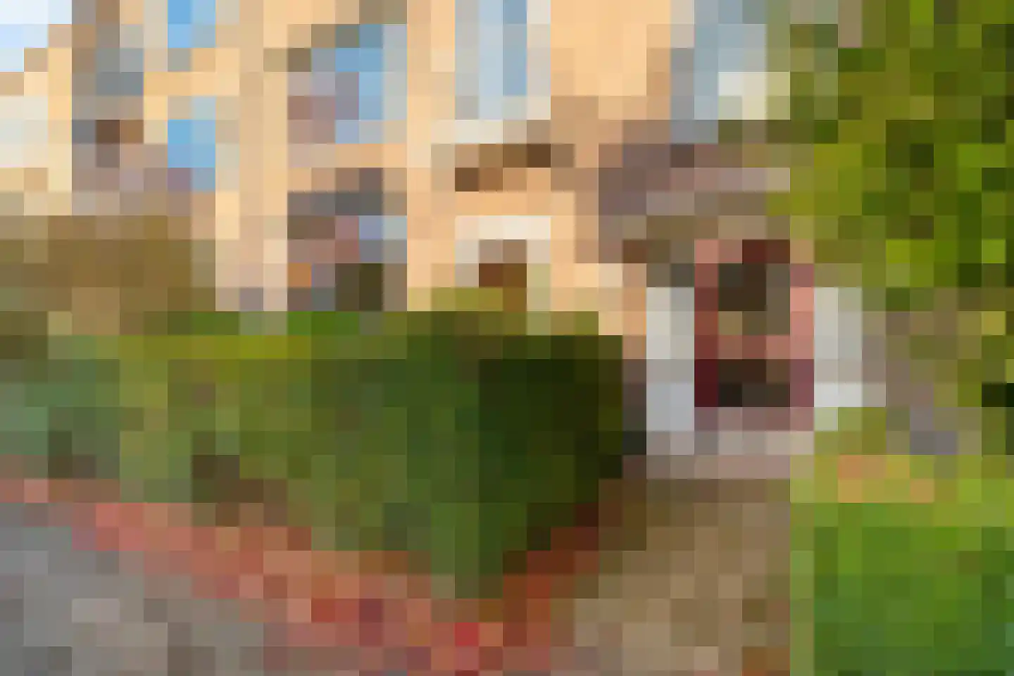 Jacob van Offwegenlaan 54 Rijswijk thumbnail 7