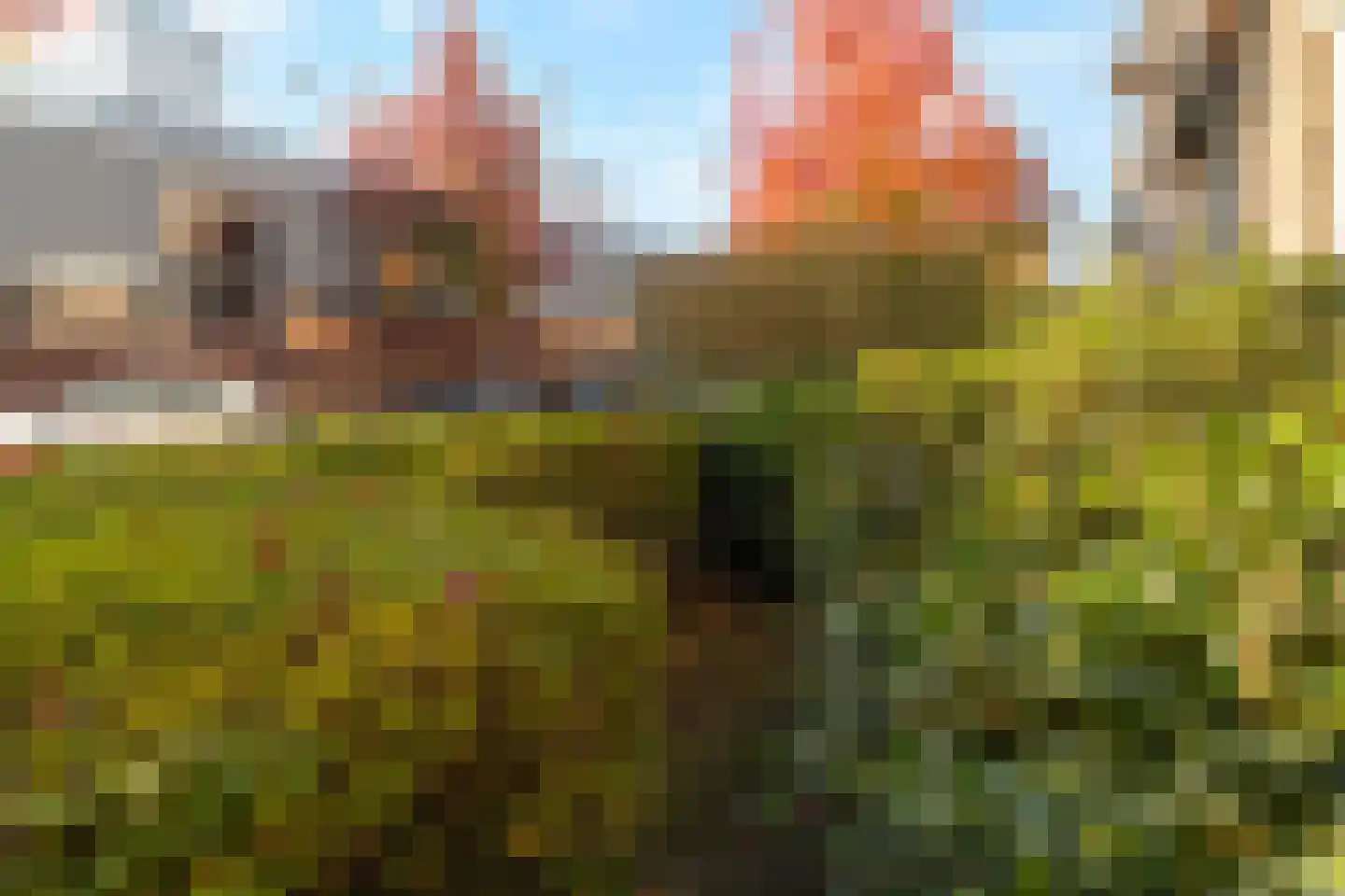 Jacob van Offwegenlaan 54 Rijswijk thumbnail 9
