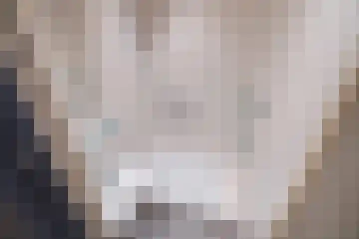Jacob van Offwegenlaan 58 Rijswijk thumbnail 21