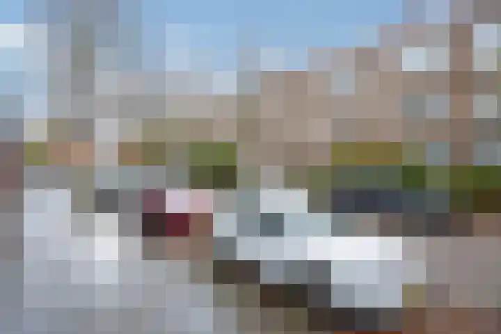 Jacob van Offwegenlaan 58 Rijswijk thumbnail 23