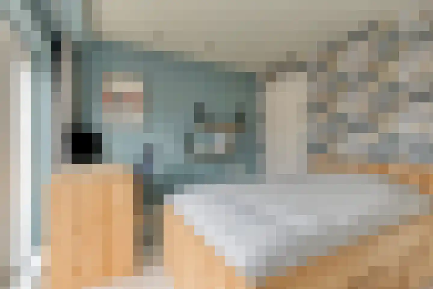 Jacob van Oostzanenstraat 10 Heemskerk thumbnail 17