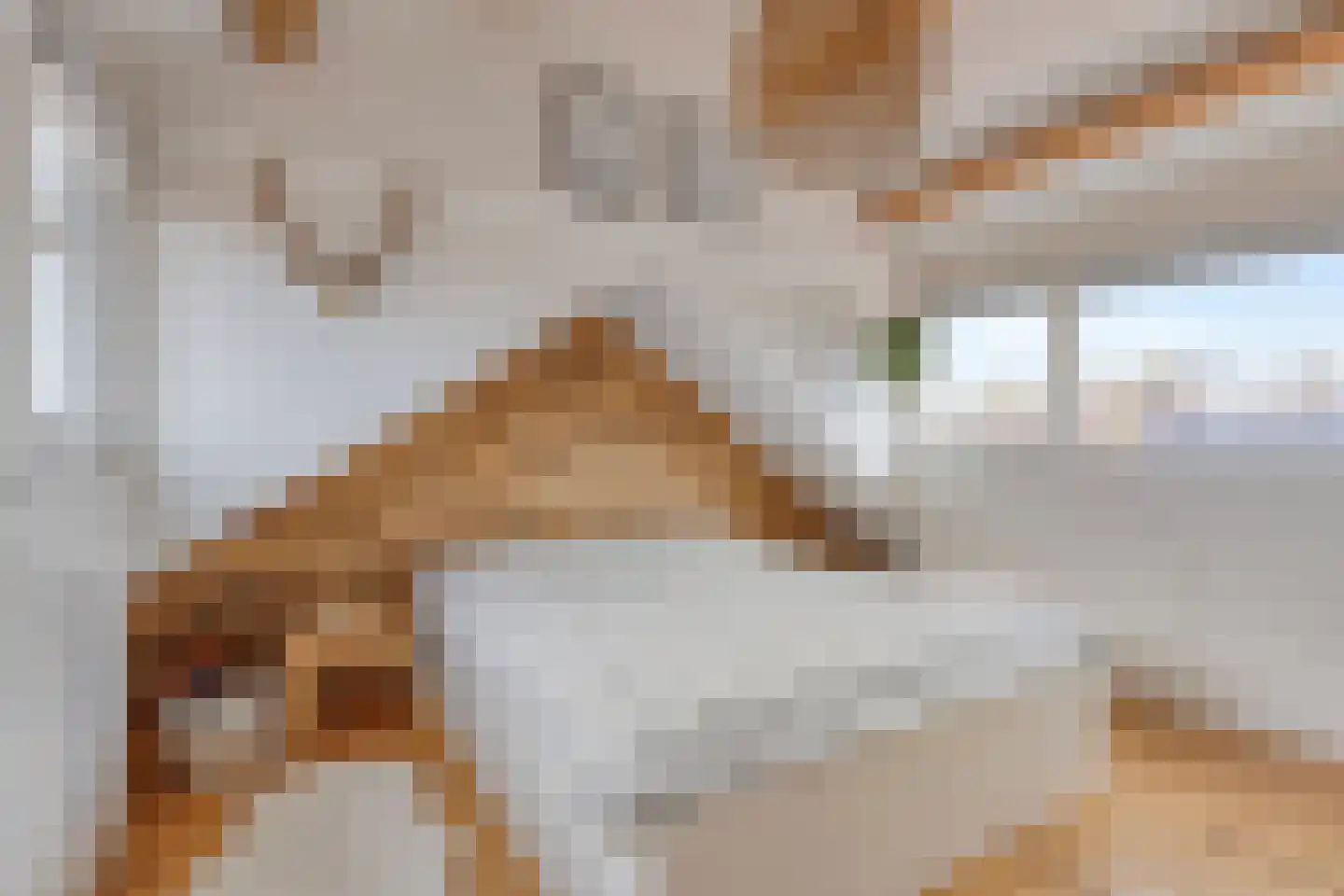 Jacob van Oostzanenstraat 10 Heemskerk thumbnail 23