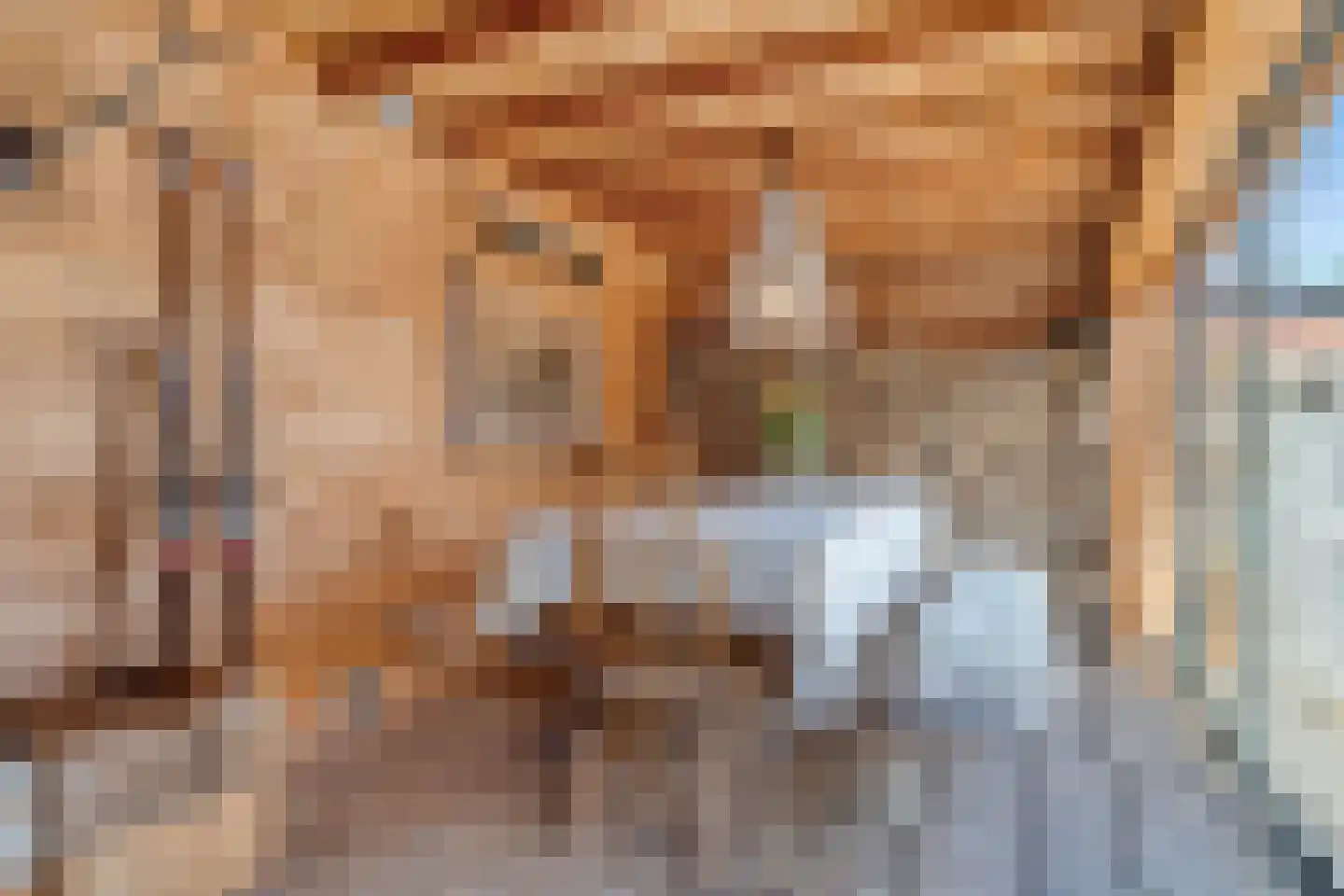 Jacob van Oostzanenstraat 10 Heemskerk thumbnail 32