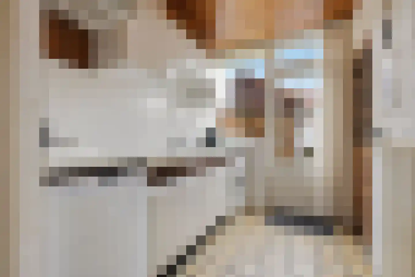 Jacob van Oostzanenstraat 13 Heemskerk thumbnail 11