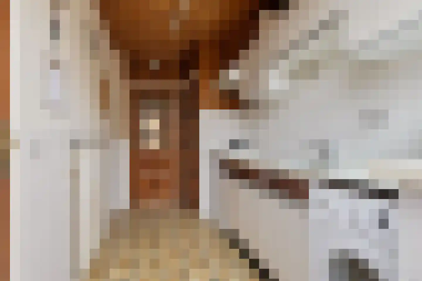 Jacob van Oostzanenstraat 13 Heemskerk thumbnail 12