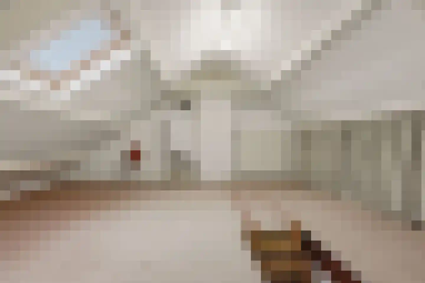 Jacob van Oostzanenstraat 13 Heemskerk thumbnail 24