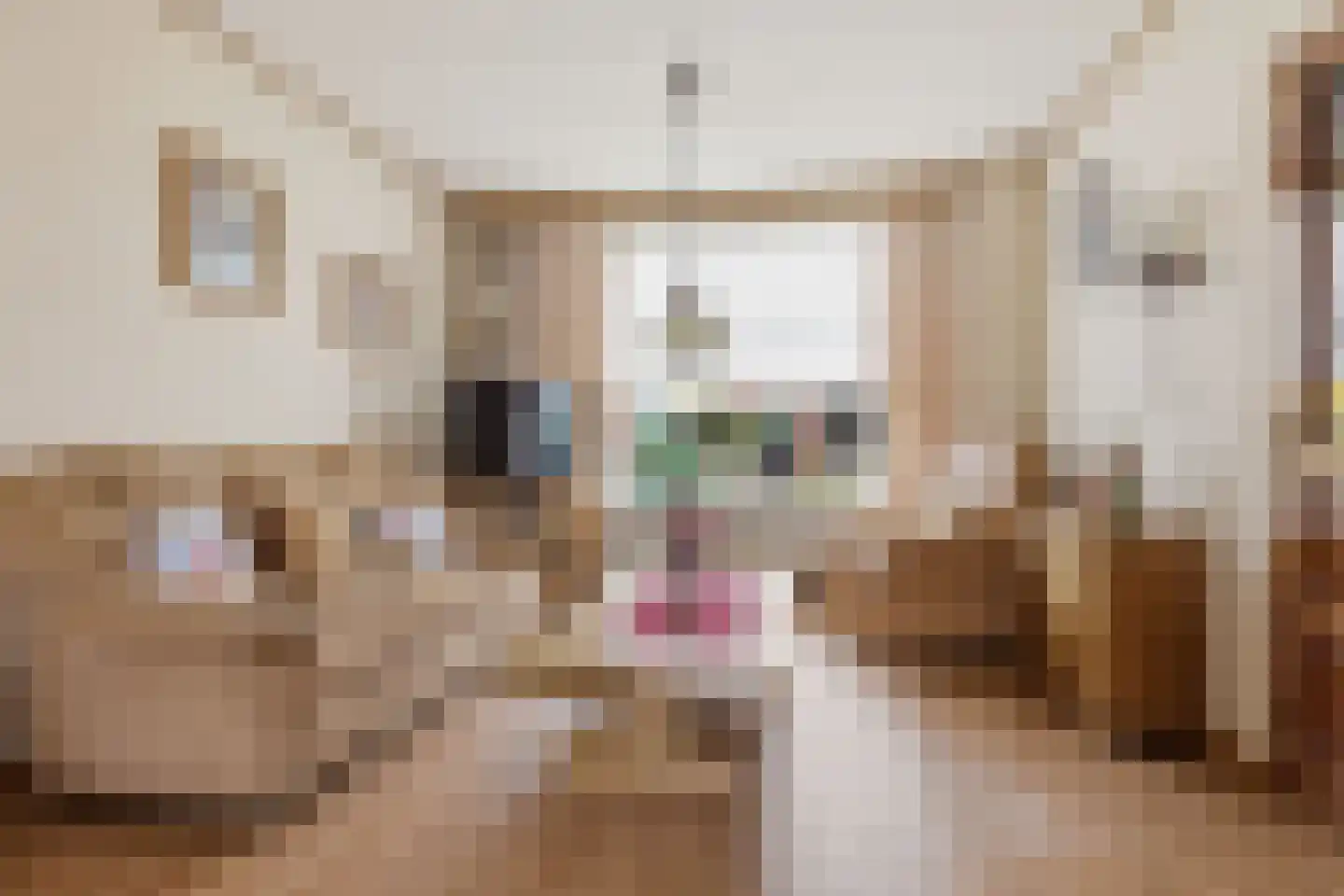 Jacob van Oostzanenstraat 13 Heemskerk thumbnail 6