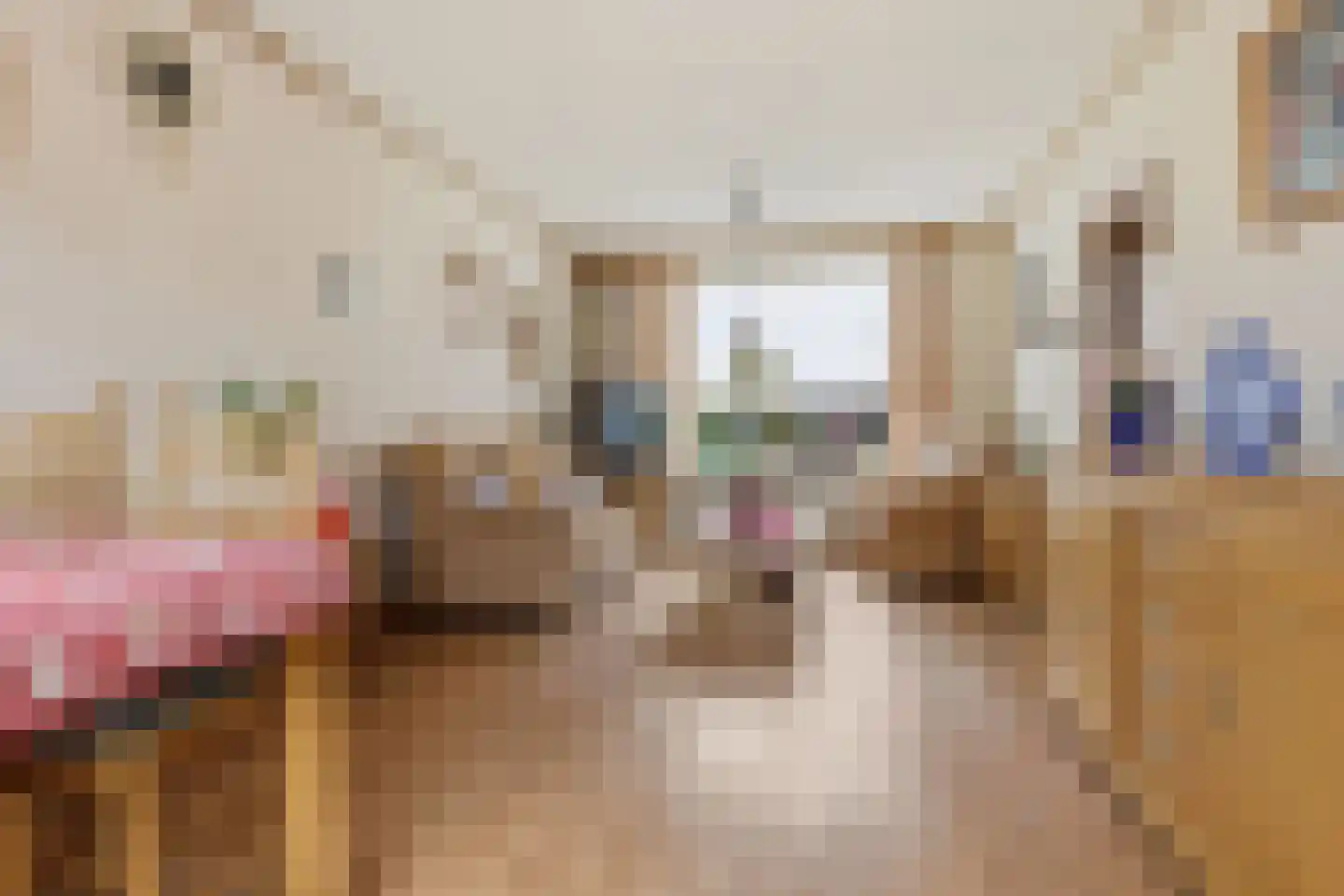 Jacob van Oostzanenstraat 13 Heemskerk thumbnail 8