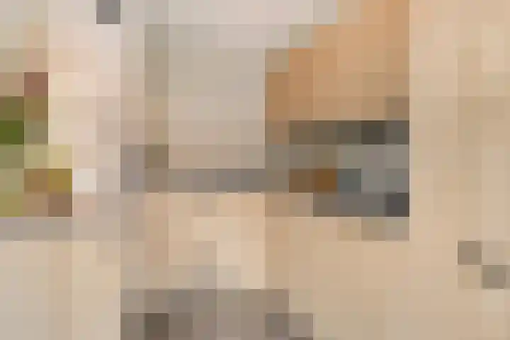 Jacob van Oostzanenstraat 16 Heemskerk thumbnail 12