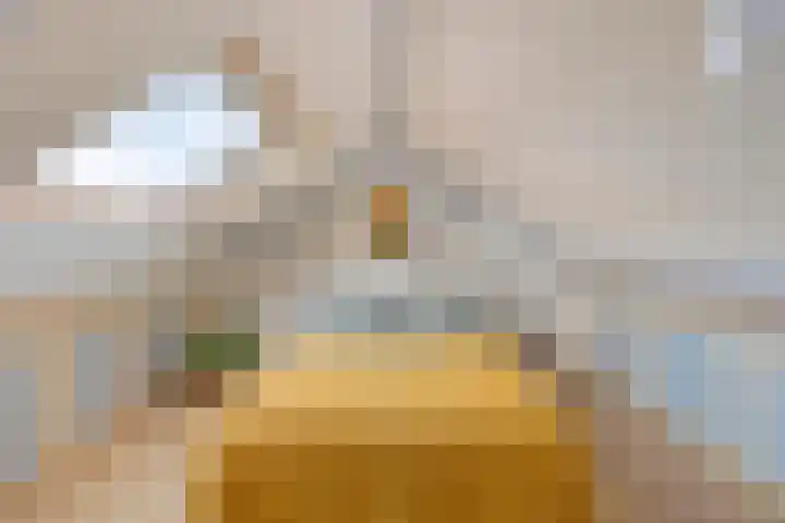 Jacob van Oostzanenstraat 16 Heemskerk thumbnail 23