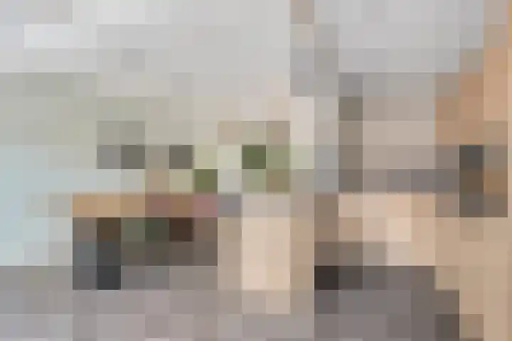 Jacob van Oostzanenstraat 16 Heemskerk thumbnail 7