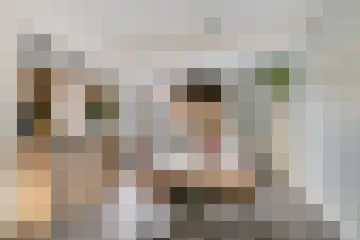 Jacob van Oostzanenstraat 16 Heemskerk thumbnail 8
