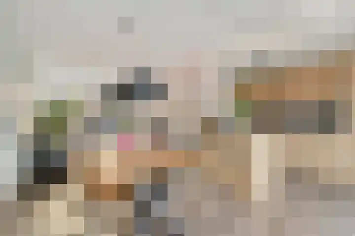 Jacob van Oostzanenstraat 16 Heemskerk thumbnail 9
