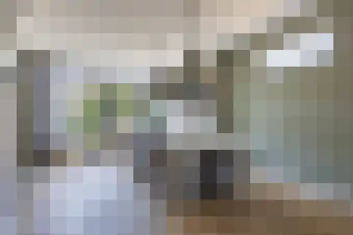 Jacob van Oostzanenstraat 22 Heemskerk thumbnail 10