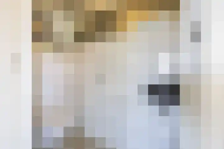Jacob van Oostzanenstraat 22 Heemskerk thumbnail 16