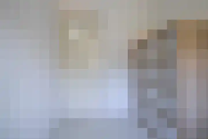 Jacob van Oostzanenstraat 22 Heemskerk thumbnail 22