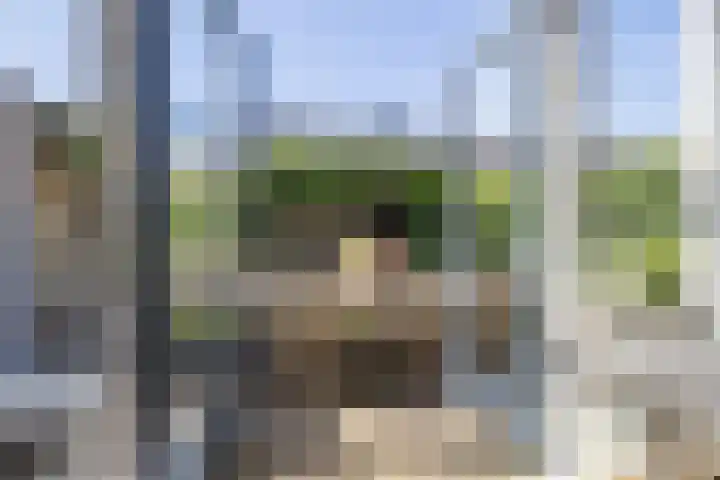 Jacob van Oostzanenstraat 22 Heemskerk thumbnail 34