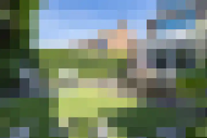 Jacob van Oostzanenstraat 22 Heemskerk thumbnail 38