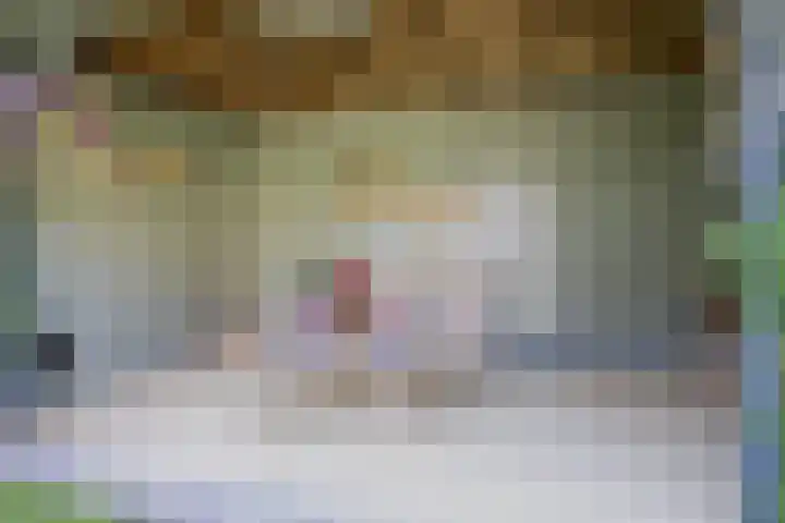 Jacob van Oostzanenstraat 22 Heemskerk thumbnail 39