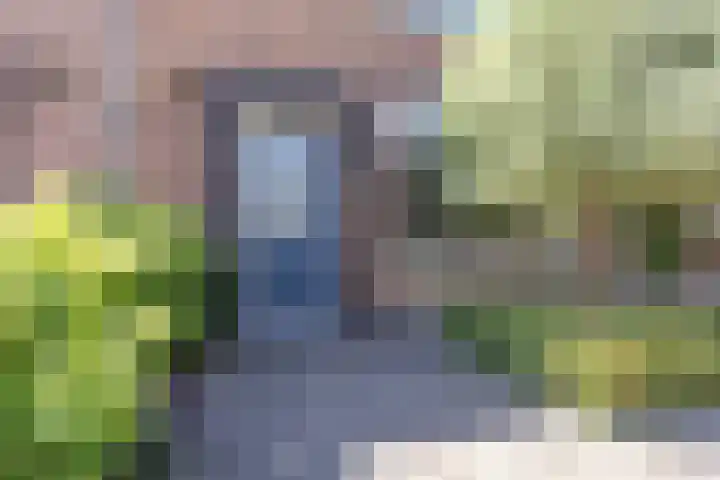 Jacob van Oostzanenstraat 22 Heemskerk thumbnail 4