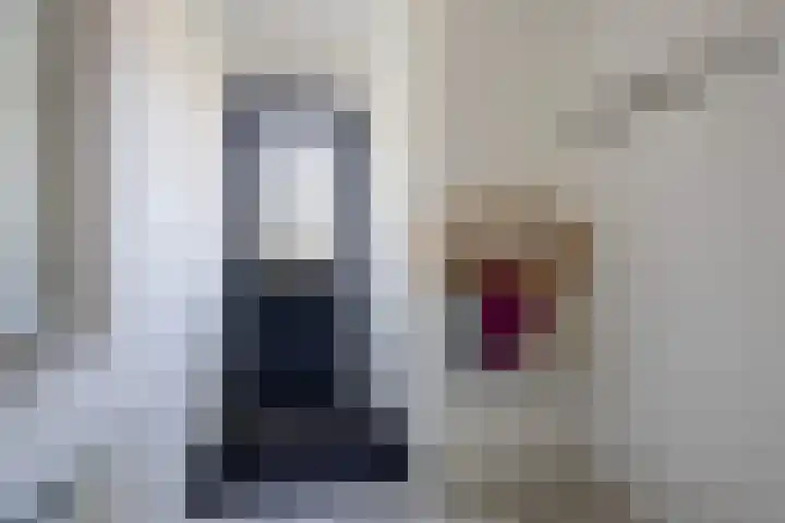 Jacob van Oostzanenstraat 22 Heemskerk thumbnail 5