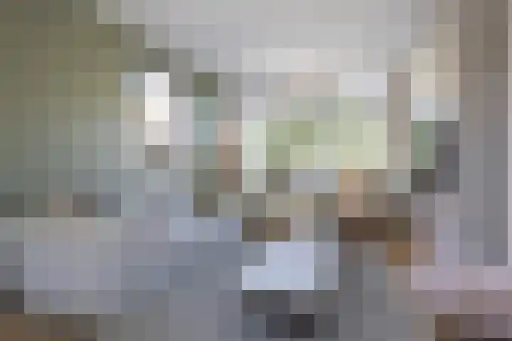Jacob van Oostzanenstraat 22 Heemskerk thumbnail 7