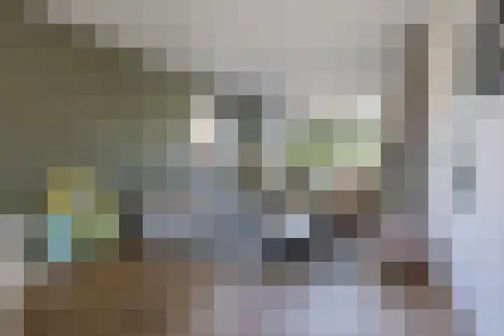 Jacob van Oostzanenstraat 22 Heemskerk thumbnail 9