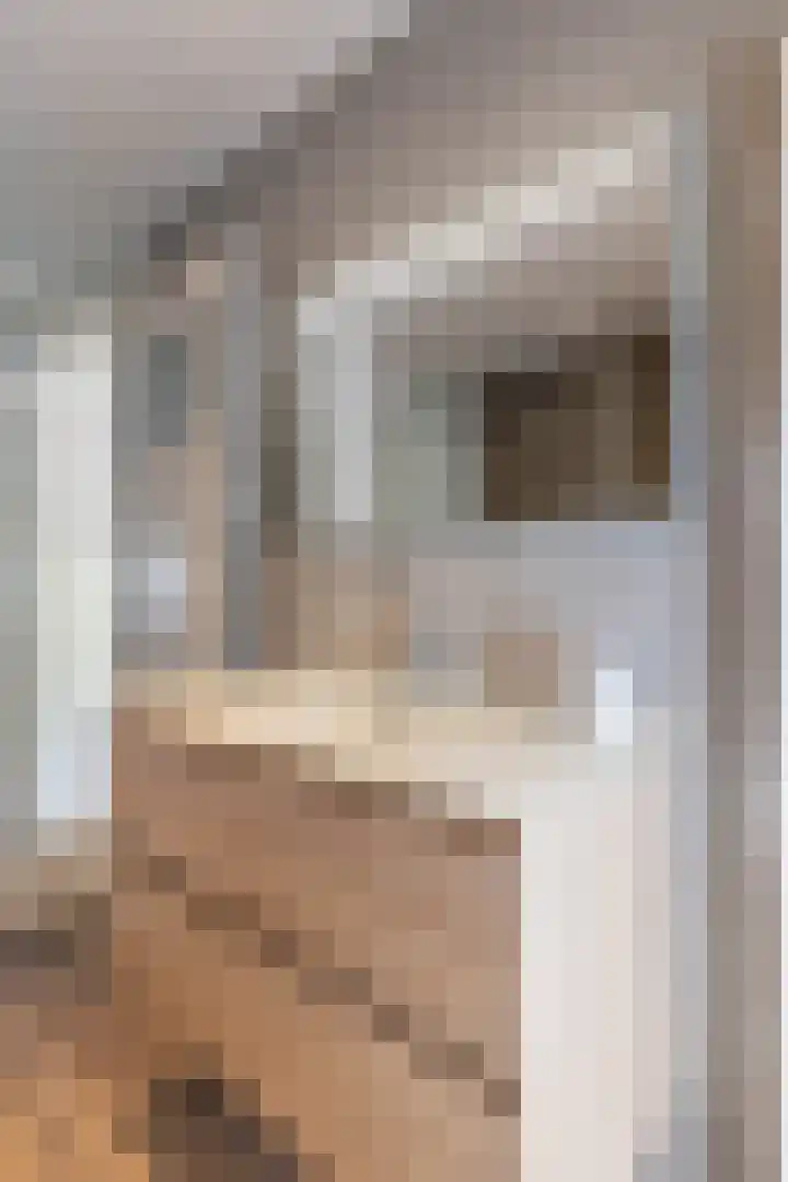Jacob van Oostzanenstraat 3 Heemskerk thumbnail 23