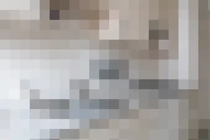 Jacob van Oostzanenstraat 3 Heemskerk thumbnail 8