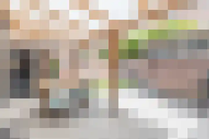Jacob van Oostzanenstraat 3 Heemskerk thumbnail 9
