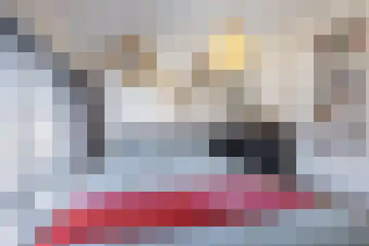 Jacob van Oostzanenstraat 5 Heemskerk thumbnail 21