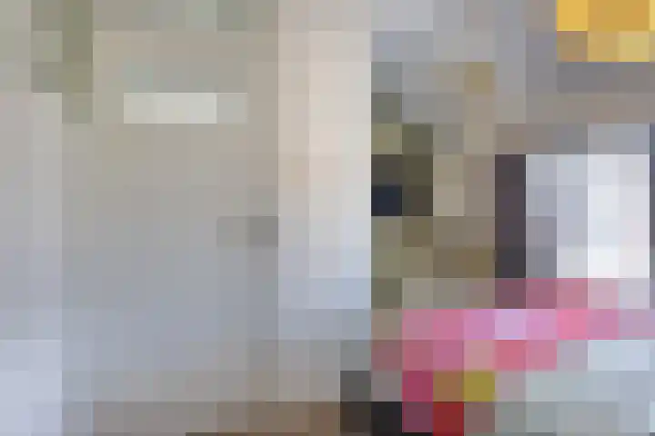 Jacob van Oostzanenstraat 5 Heemskerk thumbnail 22