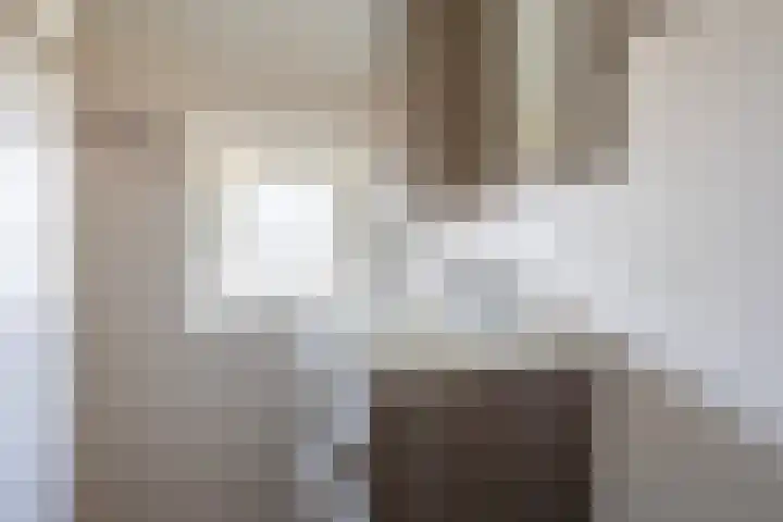 Jacob van Oostzanenstraat 5 Heemskerk thumbnail 25