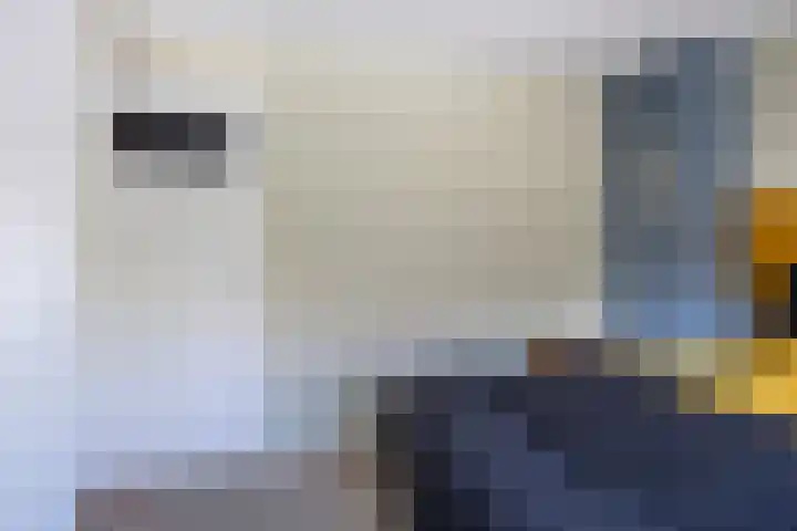Jacob van Oostzanenstraat 5 Heemskerk thumbnail 29